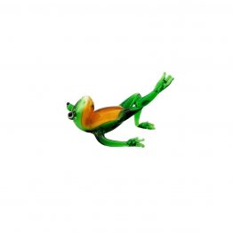 Yoga Frosch