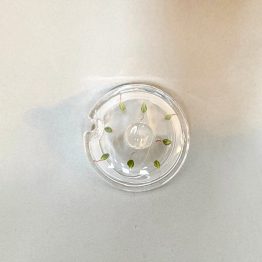 Deckel zu jeder Dose, Aussparung für kleinen Löffel