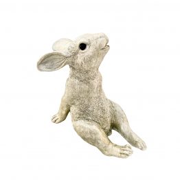 Sternengucker Hase champagner-farben