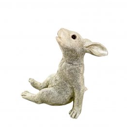 Sternengucker Hase champagner-farben 2