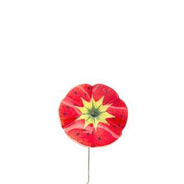 Blume groß rot gelb